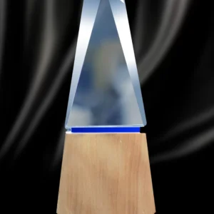 Handcrafted Obelisk Crystal on Natural Wood Trophy