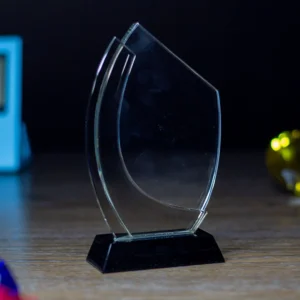 Dual Arc Momentum Crystal Award