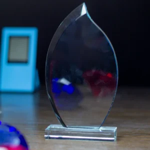 Inspiration Flame Crystal Award