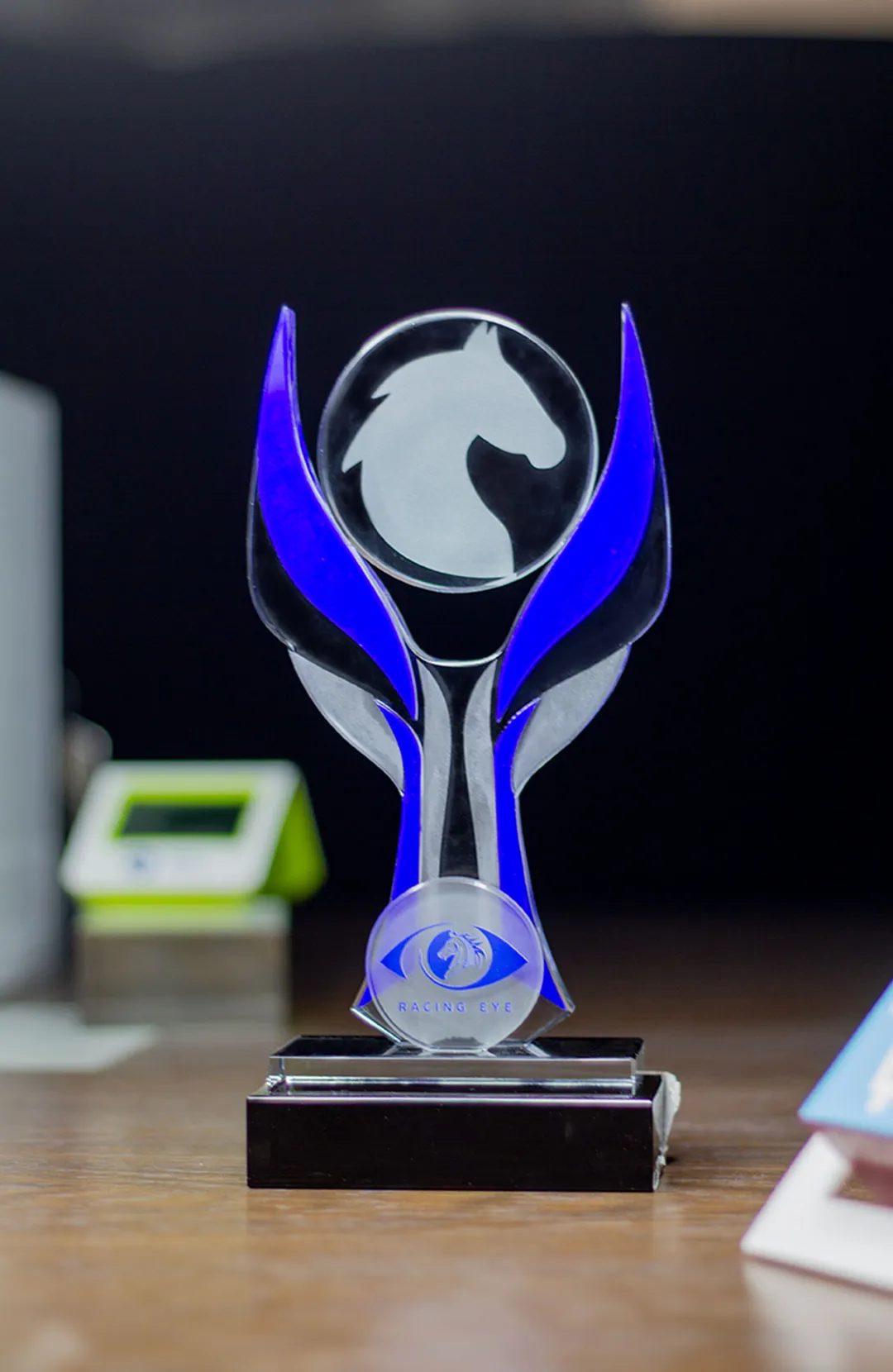 Racing Eye Equestrian Excellence Crystal Award