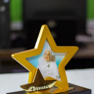 Gold Star Innovation Crystal and Metal Photo Award