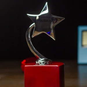 Polished Gold Rising Star Trophy on Crimson Wood Base