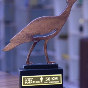 The  Endurance Silhouette Wooden Trophy