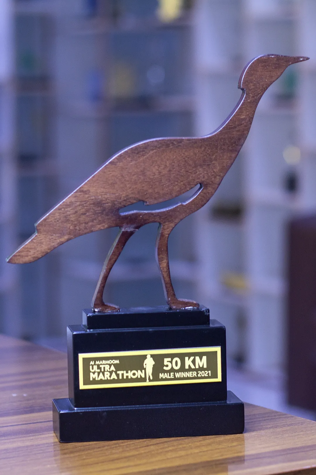 The  Endurance Silhouette Wooden Trophy