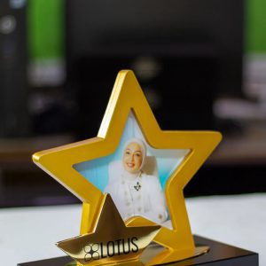 Gold Star Innovation Crystal and Metal Photo Award