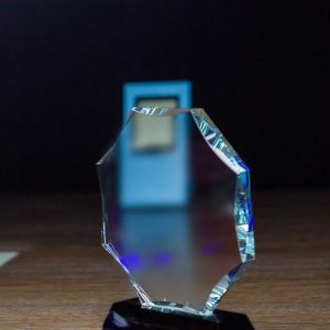 Faceted Octagonal Optical Crystal Award on Black Pedestal