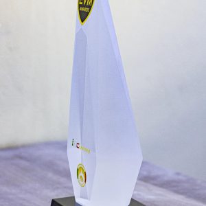 Cinematic Excellence Crystal Award
