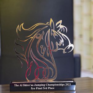 The Equine Spirit Silhouette Metal Trophy