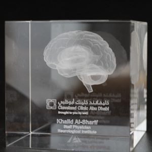 3D Brain Laser Engraved in a Cube