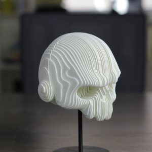 3D Print Layered Skull